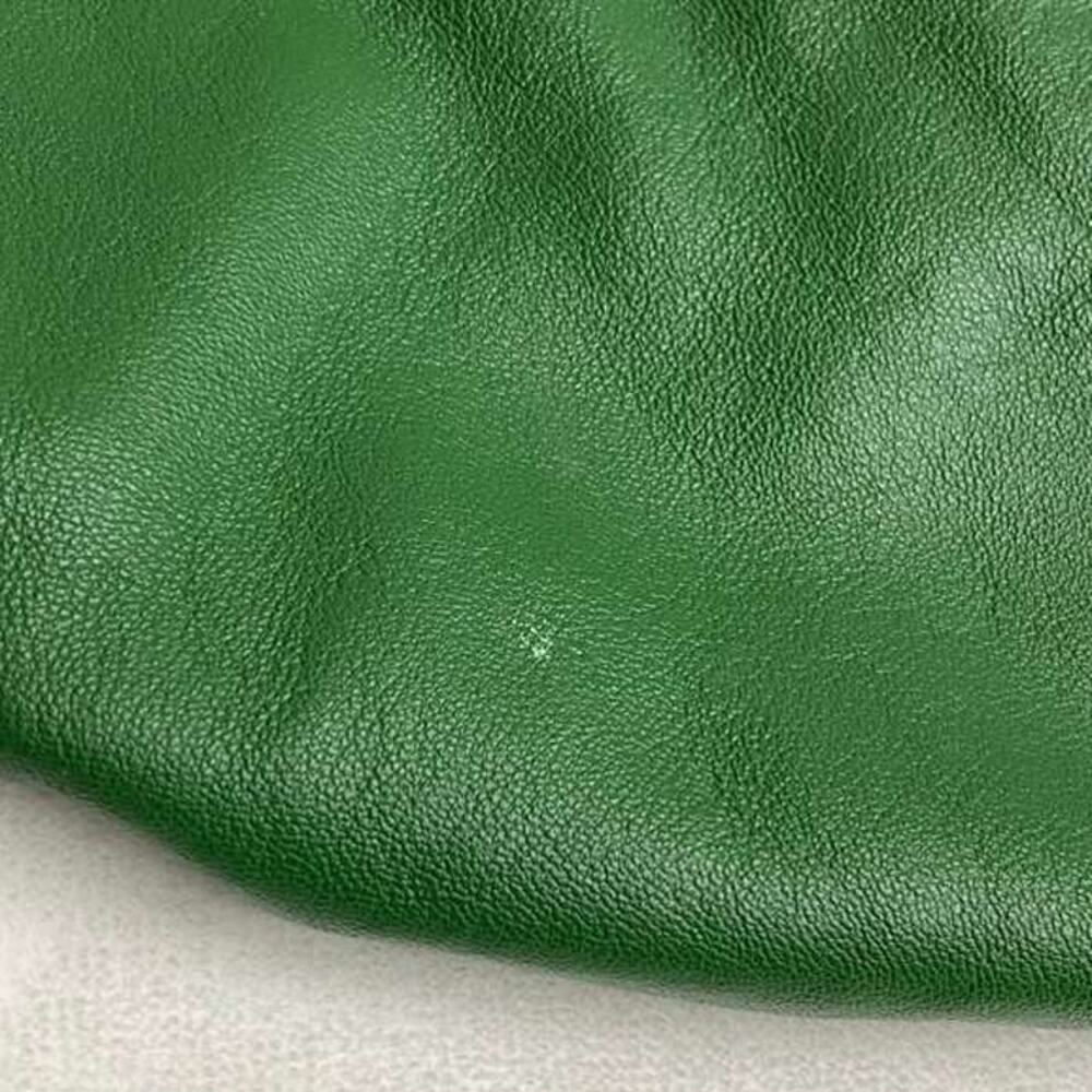 Anthropologie Women's Green Lambskin Leather Hobo - Picture 13 of 13